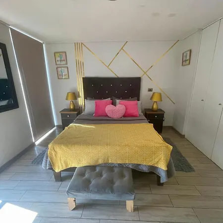 Loft Sorprendente Con Gym En Comuna Independencia